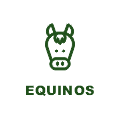 Equinos