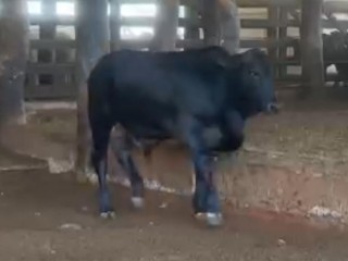 6876295363989