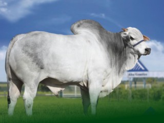68e013ccdad7e