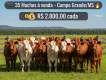 68cd940498369