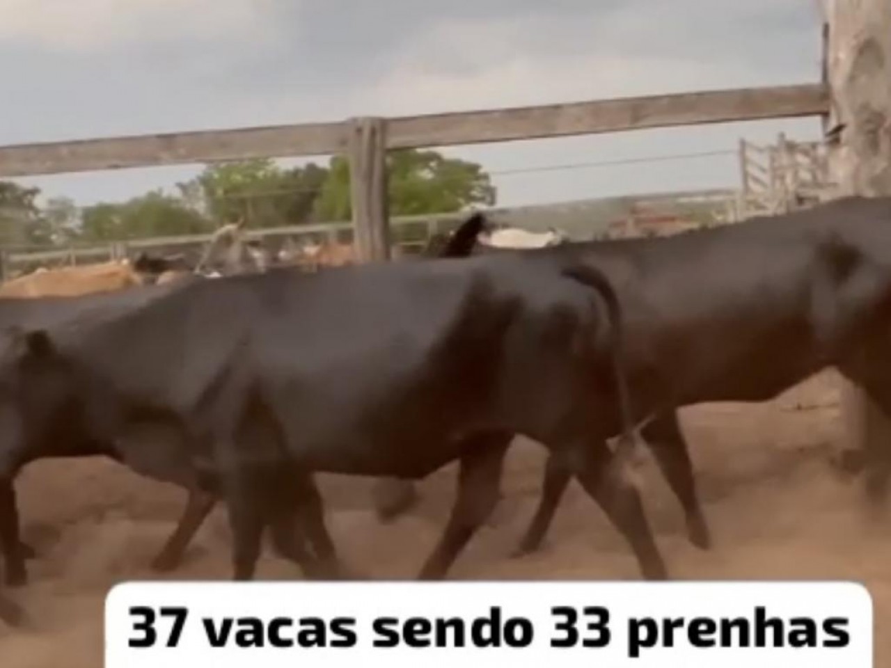 651abbe534c32