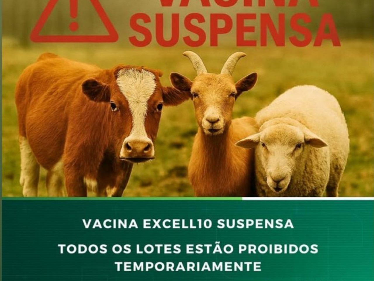 Morte de 308 animais após vacinação é investigada