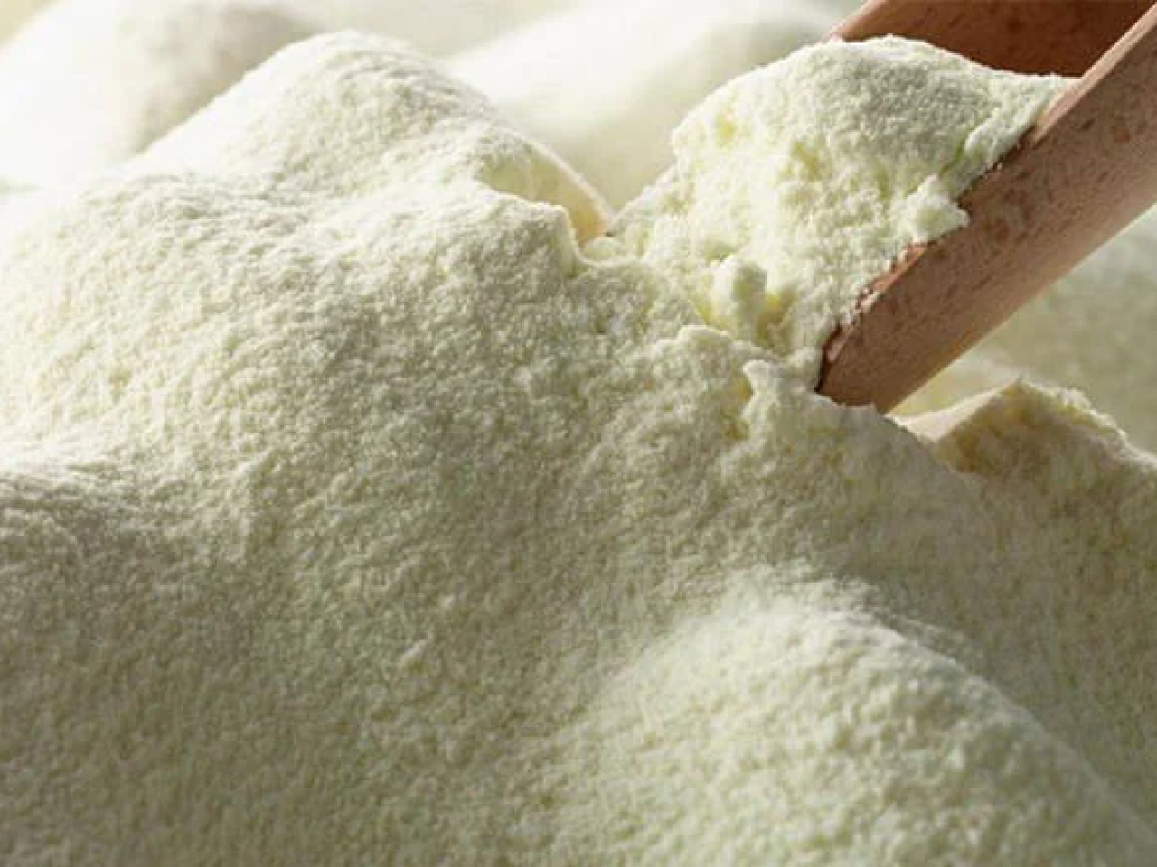 Comissão aprova projeto que susta fim de taxação sobre leite em pó Comissão aprova projeto que susta fim de taxação sobre leite em pó