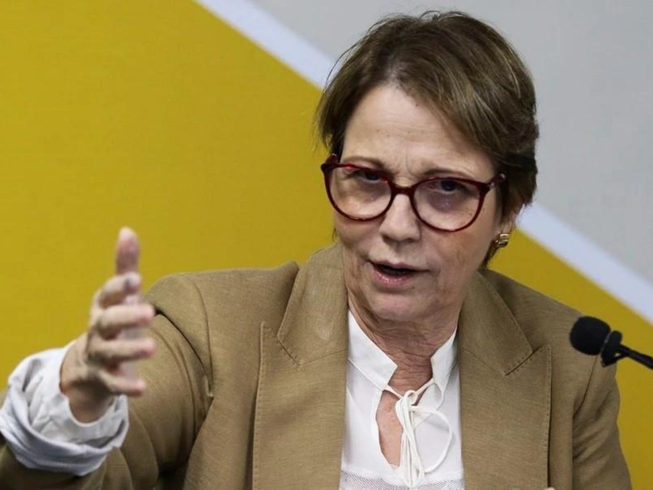 Fertilizantes: Tereza Cristina leva à reunião da FAO preocupação após sanções Fertilizantes: Tereza Cristina leva à reunião da FAO preocupação após sanções