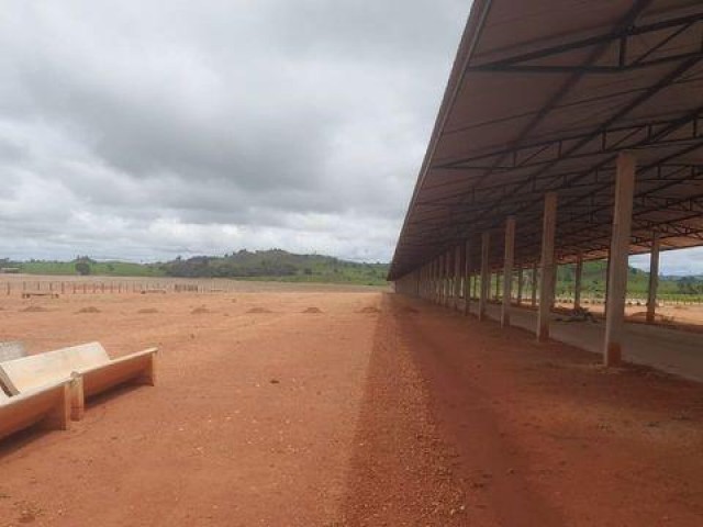 “Eu acredito no mercado”, diz pecuarista de Rondônia ao investir alto em confinamento