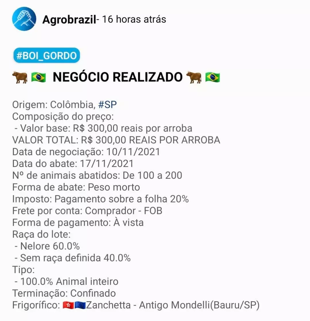 Boi disparando e pecuarista pede R$ 310/@; Cadê o boi?